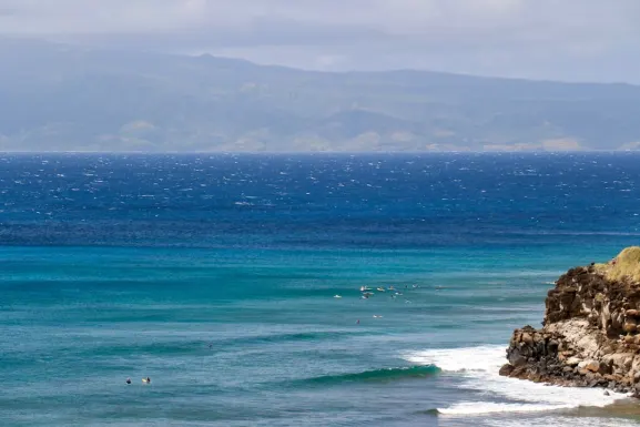 Kassu Kasyno Wsparcie